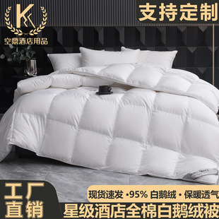 Star hotel duvet 95% white goose velvet spring autumn winter quilt duck velvet winter quilt core winter thick warm