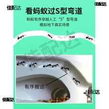 Λρ�Ǳ�Λρ�����ի@ρρ������W���WУ�����^����ρ��a��