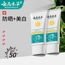 现货供应茅仁堂云南本草美白防晒霜SPF50+身体防晒乳防晒喷雾批发
