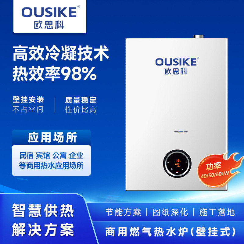 厂家批发商用燃气热水器20L升 婴儿游泳馆热水器酒店壁挂式热水器