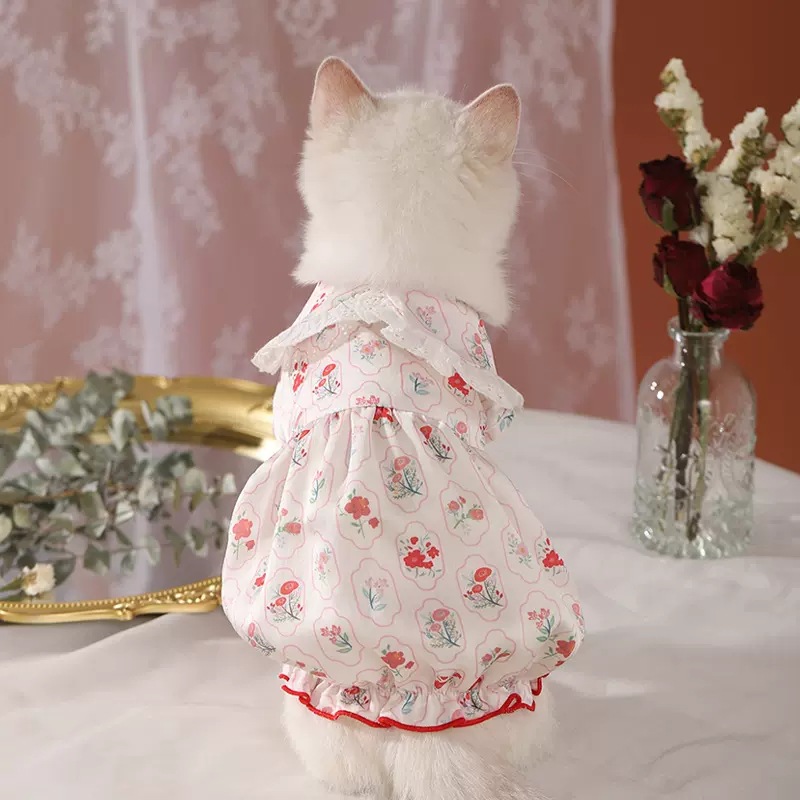Baihua Blooming burbuja vestido de vestir ropa de gato anti-pelusa primavera mascota gatito primavera y verano fresco Delgado