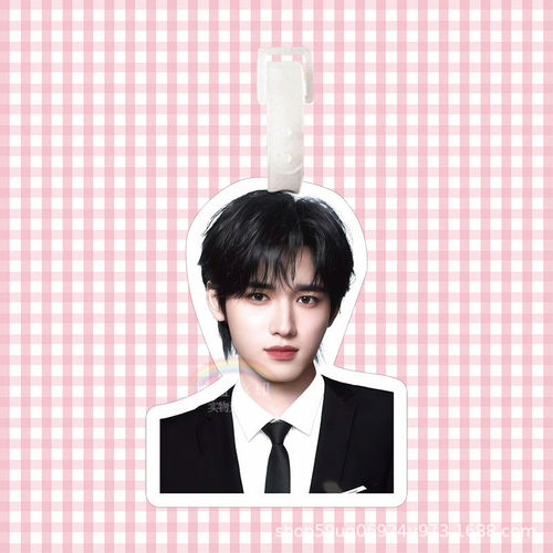TNT Song Yaxuan Backpack Accessory Luggage Tag Travel Suitcase Boarding Pass Charm Big-Headed Celebrity Backpack Pendant Liu Yaowen