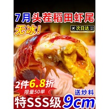 龙虾尾冷冻生鲜特大号无冰新鲜无冰小龙虾大虾球批发商用整箱10斤