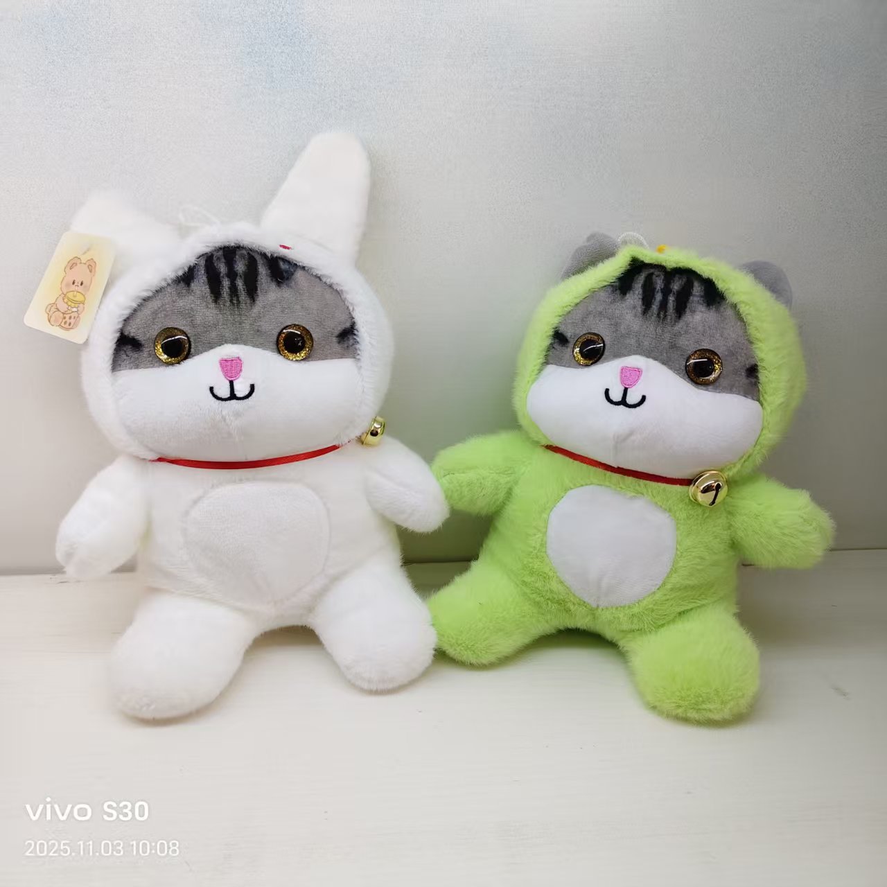 Transformed kitten
