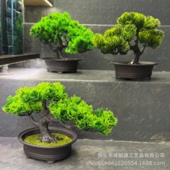 客を迎える松の盆栽をシミュレーションします。