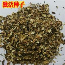 24���ª���N�� �Ī����Ѫ����� �⪚���� ���h���� ���w��