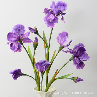 �����z�Sβ������͏d�Ҿ�ܛ�b��c�zӰ���񻨷��滨3�^���Sβ��