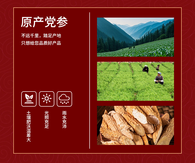 Dang Shen Powder Codonopsis Root Fine Ground Herbal Powder 500g Bulk Culinary and Tea Use key features