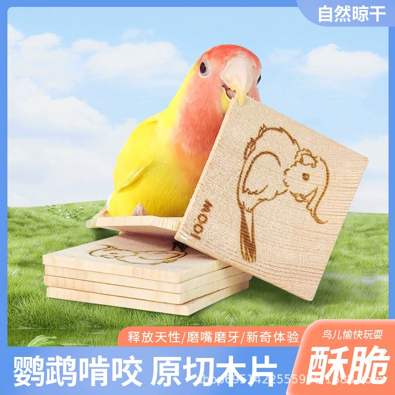 Попугай Коренная закуска сосновое печенье укус древесная щепа Тигровая кожа Xuanfeng шлифовальная палочка для рта оптом