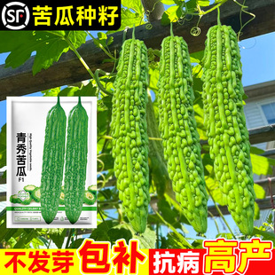 ��ϷN����Ʒ�N���O����ϷN�Ӵ�ȫ�ļ�ͥԺ�̨�߲˷Nֲ��������