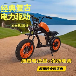 电动摩托车;电动自行车;车架