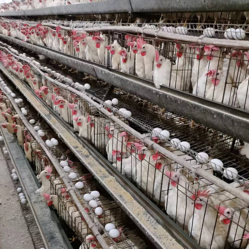 微信图片_202208311137306