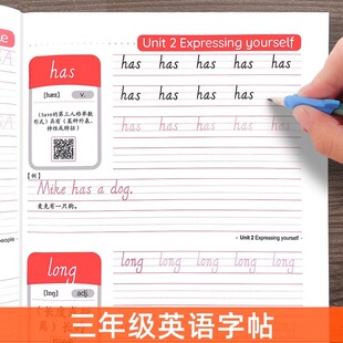 2025���˽̰�PEPӢ�Z�½̲��������꼉����ͬ������С�W������