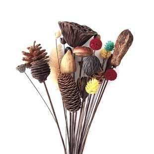 �ɻ��ɹ������Ů���t��֦��֬��������ҾӲ廨��֦