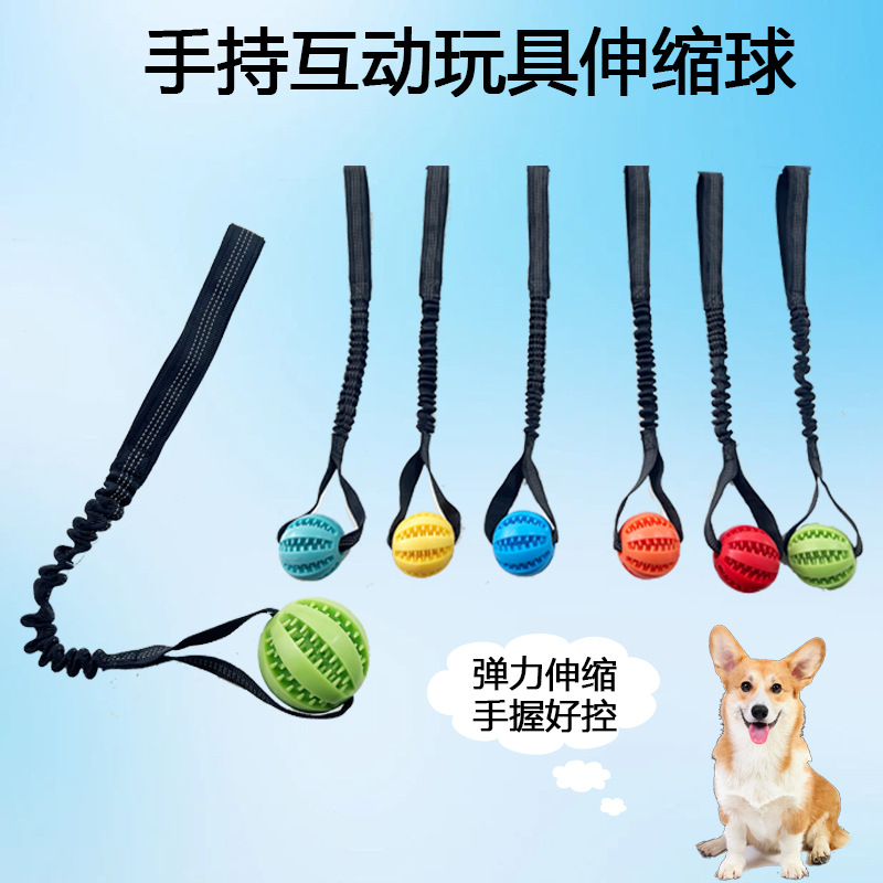 Perro fugas de comida bola puzzle mordida resistente dientes dorados corky para aliviar el aburrimiento juguetes de bolas elásticas al aire libre lanzamiento de entrenamiento image 4