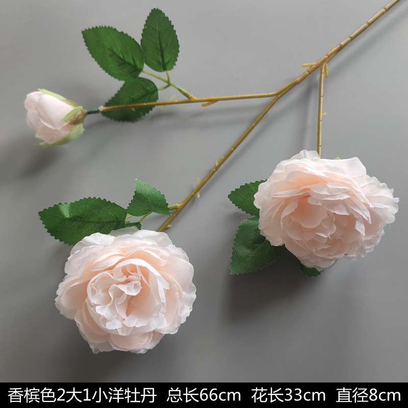 シャンパン色の結婚式の花の花の花の材料の結婚祝いの装飾の花の講堂の装飾の花のプラスチックの花の道は花の造花を導いています。|undefined