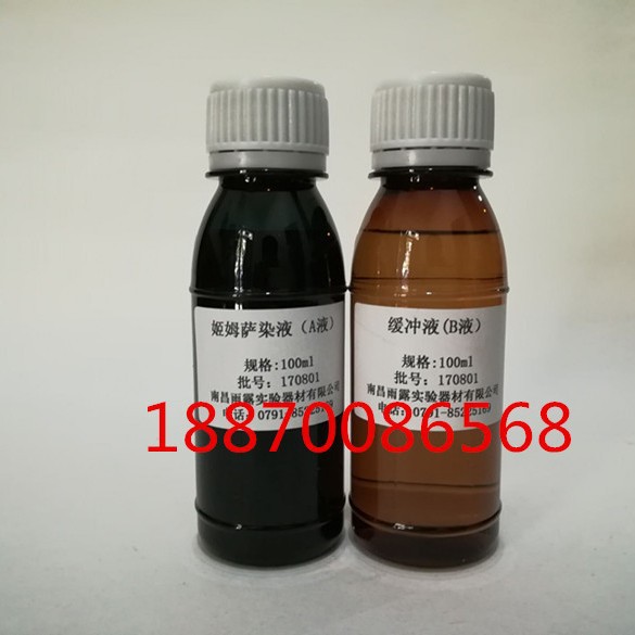雨露姬姆萨染液AB液  吉姆氏染液吉氏染液脱落细胞染色2乘100ml