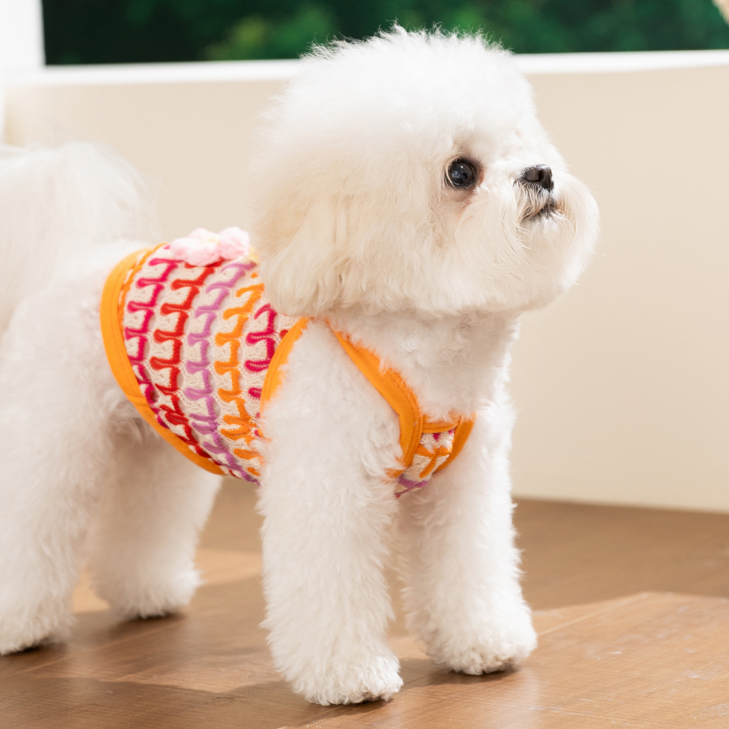 Primavera y verano nuevo color agujero tejido delgado flower hanger Teddy panda gato ropa de perro transfronteriza
