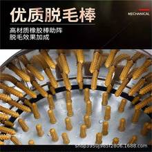 �u���ZÓë�C�� ȫ�Ԅ�늄Ӱ���ë��ë�O�����