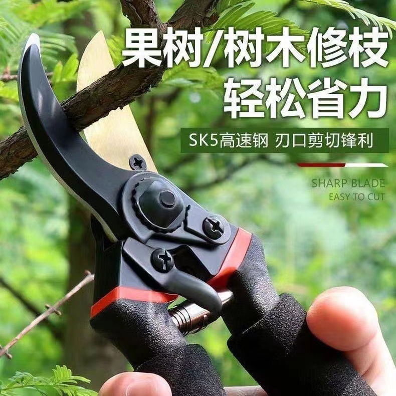Pruning shears for fruit trees, thick branch pruning scissors, labor-saving fruit branch cutters SK5, powerful pruning shears