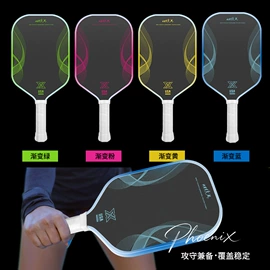 匹克球拍;其他球类用品;匹克球