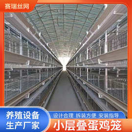 小层叠蛋鸡笼 农场养鸡场自动化养殖畜牧设备自动检蛋机上料鸡笼