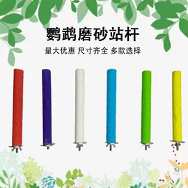 其他小宠用品;鸟类;鸟食