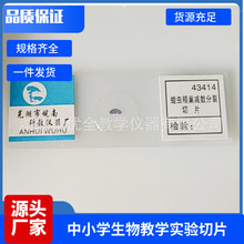 43414�ȳ澫������������Ƭ ����������ʵ����Ƭ �����ѧ��Ƭ