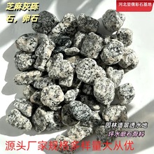 Sl֥c[ʯˮϴʯzճʯZʯ @־^ɽˮͥԺ