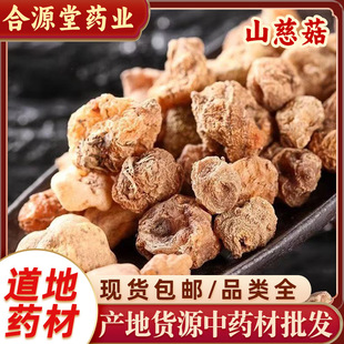 ɽ�ȹ���ș�� ë�ȹ� ������ ���e�� ��� ��� ɽ�Ĺ������