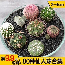 �_����ݗ�����[�P�M���ײͶ��ϼ��������������Ƕ���ֲ��������