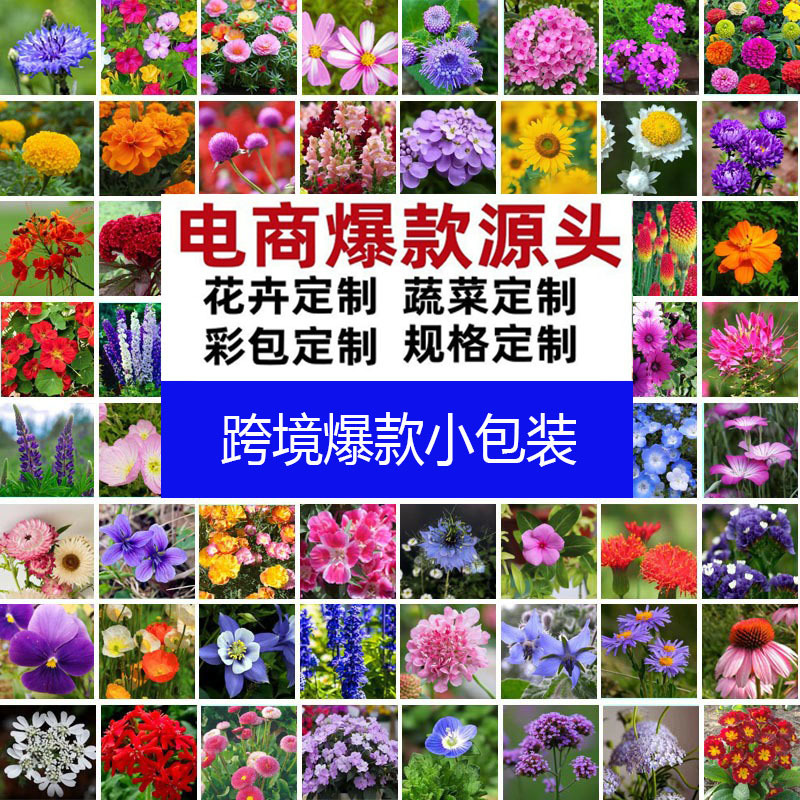 跨境透明小包装糖果包种子草花蔬菜花卉封口儿童礼品赠送学生玩具