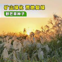 ҰâݷNļNϷNֲҰֲ׷No²ͺ