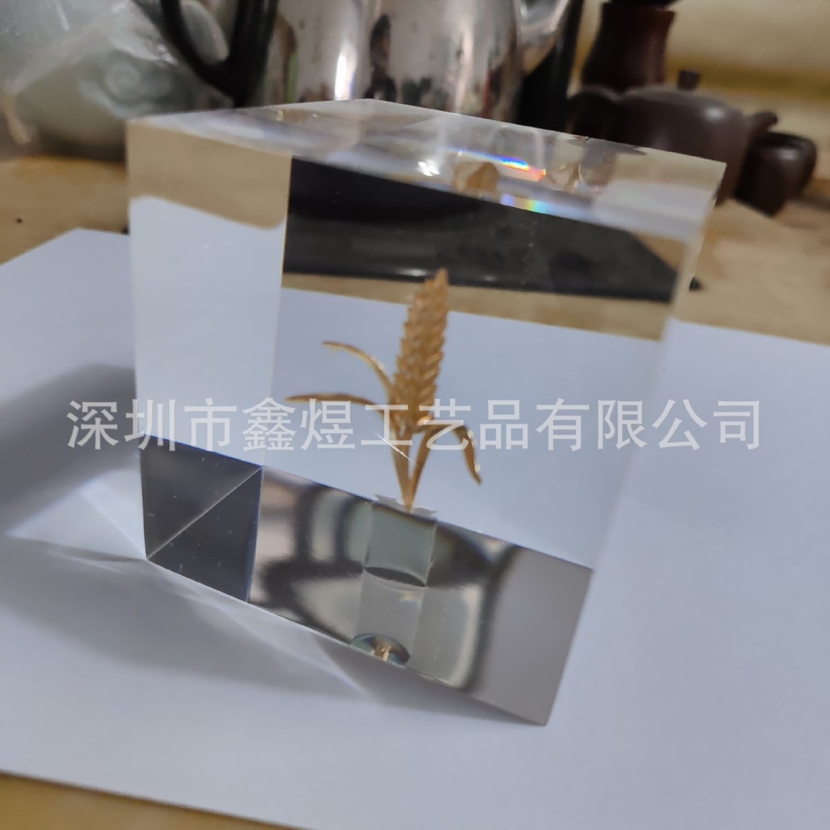 2025-03-12 15:51:38.jpg