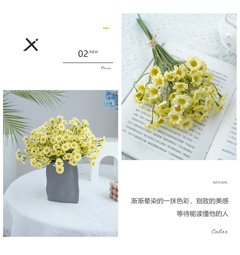 布拉格6枝扎小雏菊_08.jpg