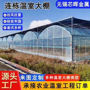 ��Ĥ�B������Ǽ� �B�w����ꖜ��Ҵ���䓼� �߲˴������\䓹�