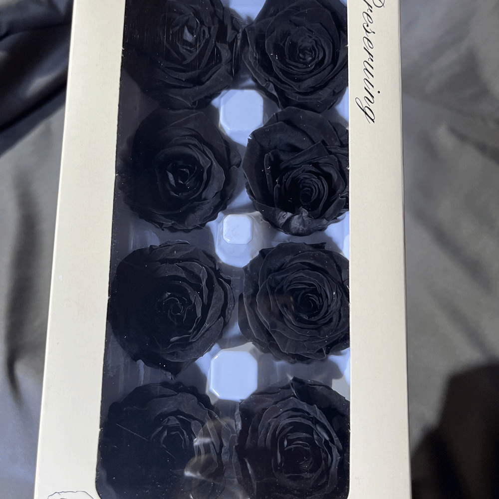 Cabeza de Rosa Preservada B+, 4-5 cm, Regalo para el Día de San Valentín Chino, Ramo de Flores Preservadas al por Mayor, Flores Secas para DIY, 520