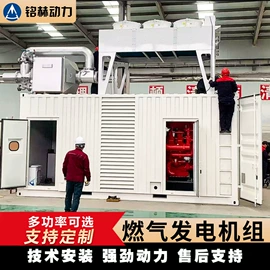 燃气发电机组;柴油发电机组;内燃机