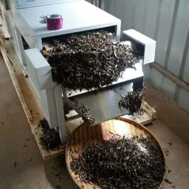 微波干燥设备;食品杀菌设备;其他干燥设备