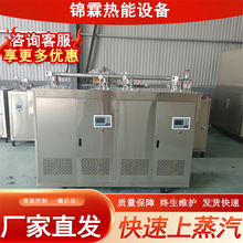 桥梁建筑养护蒸汽锅炉 纺织印染加工用360KW电加热蒸汽发生器设备