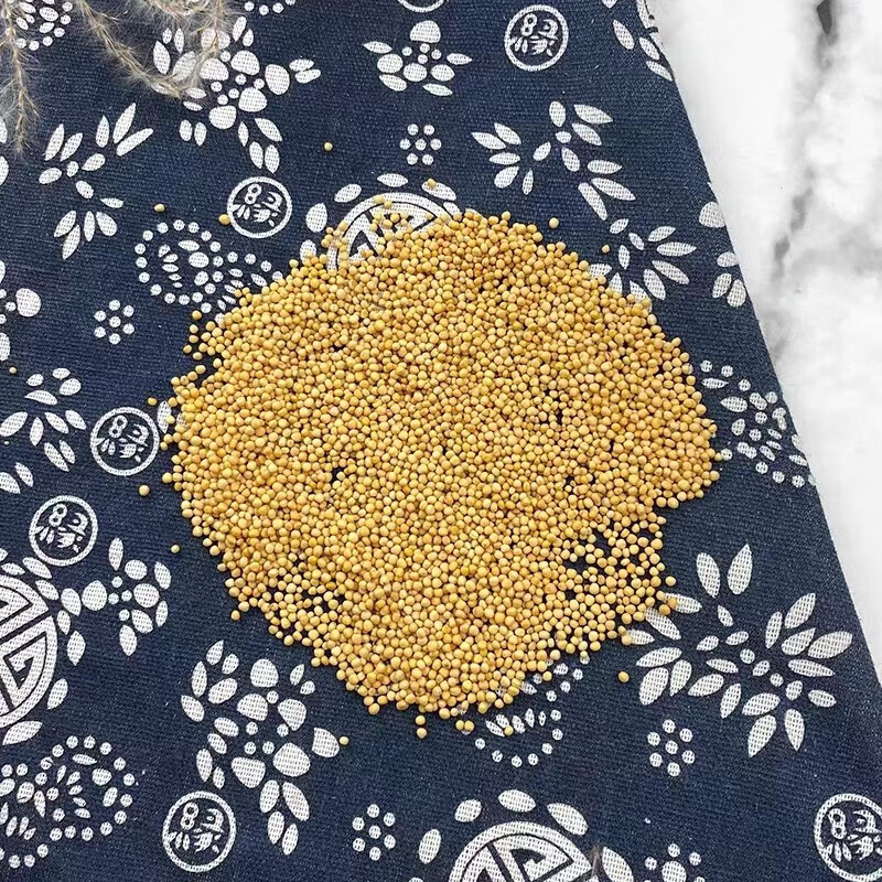 White Mustard Seed Bai Jie Zi 500g Dried Sinapis Alba Seeds Raw Herb for Traditional Decoctions preparation