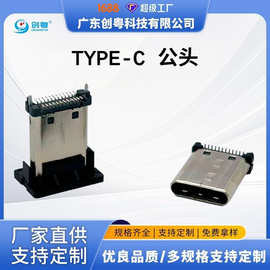 TYPE C 24PIN 立式贴片公头 无脚 H=11.1/12.1MM 直立式贴片