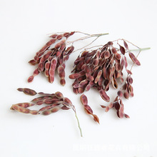 狂想者工厂新品小扁豆香薰蜡烛DIY材料自然干花家居装饰干支干果