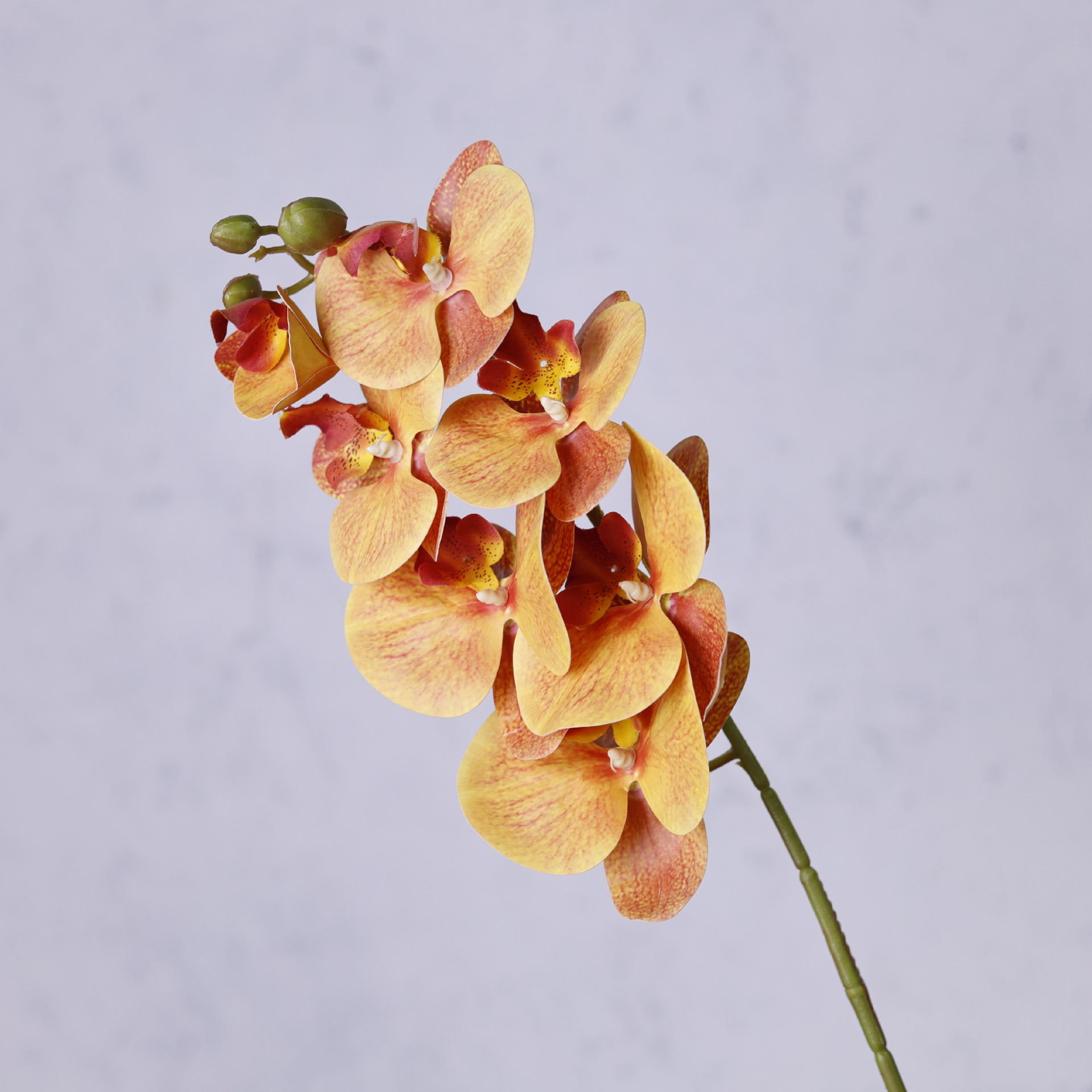 Impresión 3D de 7 cabezas de orquídeas mariposa flor de decoración de flores de alto nivel flor de nicho decoración floral decoración de sala de estar