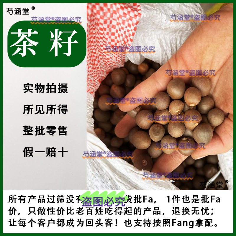 中药材无硫山茶籽 茶树籽水洗 油茶籽茶籽果100克中药新货