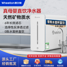 惠尔顿YK8纳滤矿物质水家用直饮反渗透母婴厨房净水器纯水双出水