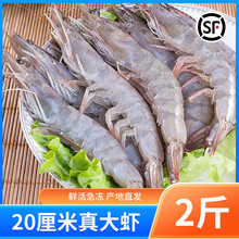 ʮ������u���r���r���r�r����������r���r���r���rˮ�a���r 100