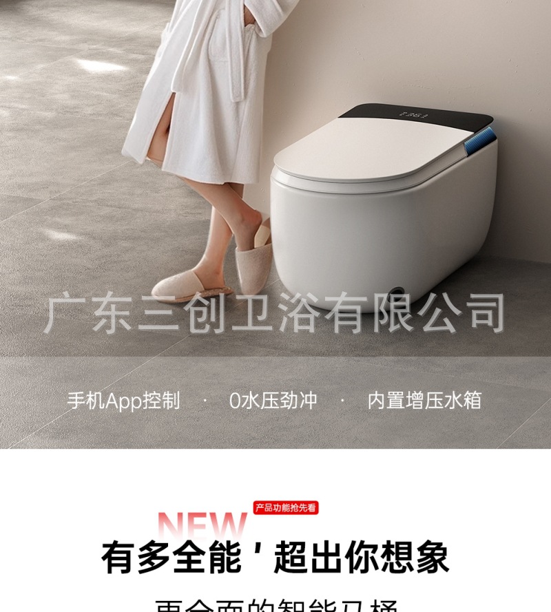 蹲坐二用智能马桶8012-详情页 (2).jpg