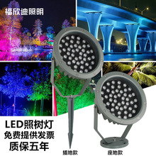 �՘�������ˮ���^�������؟�������ƺ�����s�e���⠝����ɫ