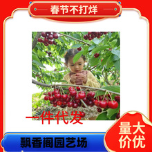 ���l���ؙ��Ҙ��� ����С�� �ϱ����N���԰��������ӡ����~�ļ�